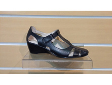 488 ���/��� ���� ����