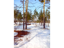 IMG 20170311 113040.jpg