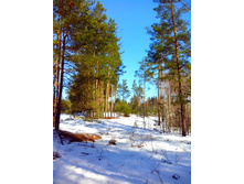 IMG 20170326 101059.jpg