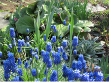 ������ �����������.JPG