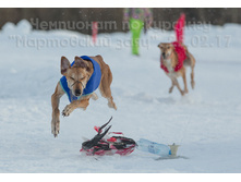 33049016721 01d0660131 o.jpg