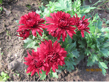 ���������� �������.JPG