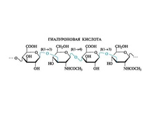 C ������������ ��������