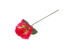 ����� ������������� "�������� 25 ��, ������������ ������������� "�������� 25 ��, ������� �����; 25 ��; �������, ��������; � ����� 5000 ��. ���.: 1376822 5.28 ���.