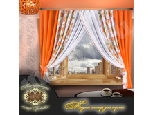 ������ ���� 741 ���