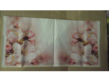 No 167     � 5 �