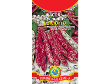 ������ �������� �������� 10,19 ���� 4 ��