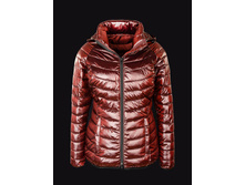 ������� ����̣���� ������ Merlion Evelin (�����) 1880�.jpeg