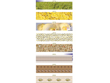 �������� 3.jpg