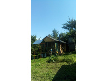 IMG 20160820 130752.jpg