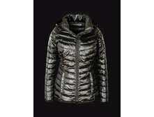 ������� ����̣���� ������ Merlion Evelin (������) 1880�.jpeg