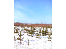 IMG 20170312 100758.jpg