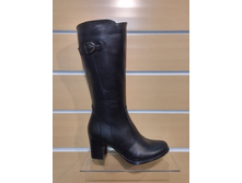 276  ���.��� ���� ����� ����