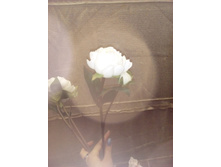 2017-03-28 10-53-58.JPG