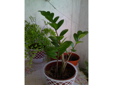 ������������
