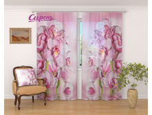 �������� "���������" 2 640,00 ���. �����: ����������� �������: 290x260 �� ��������: ����� �����: 03014