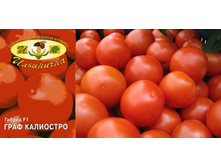 ���� ��������� 26 ���.������ �� ���������