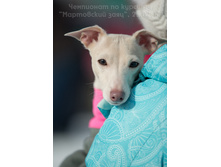 33106279306 04b02002e9 o.jpg