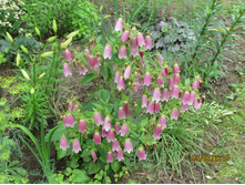 �������� ������� 1.JPG