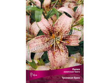 ����� �������� ����.jpg