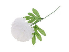 ������ ������������� "����� ����"������ ������������� "����� ����" �����; 47 ��; �������; � ����� 1200 ��. ���.: 652051 33.00���.