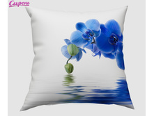 ����������� "����� �������" 350,00 ���. �����: ����������� �������: 40*40 �� ��������: �������� �����: 04611 �������������: ������ ����: 350