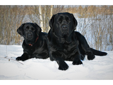 ���� ��� 5 ��� � ����