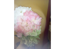 2017-03-28 11-00-26.JPG