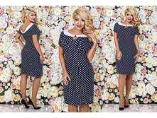 ������ ��� ������ ��� "�����" Ry095�� ���� 1100