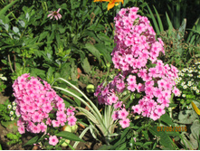 ����������� ���� ����.JPG