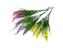 ����� "��������" ��������� "��������" ���� �����; 30 ��; �������, ��������; � ����� 600 ��. ���.: 1653824 73.00���.