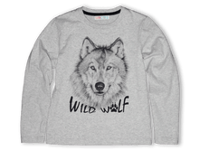 ������� ����������� �������� � ������� ������� ��� ��������� - 445 ���