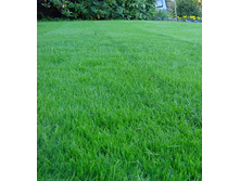 ���������� ������������� ��������.jpg