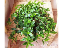 ������������ �������