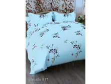 ��� �������� ���� ���� "������ 817" 1 341,00 ���. ������: 100% ������