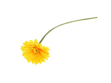 ����� ������������� "������� �����" 9*50 ��, ֣��������� ������������� "������� �����" 9*50 ��, ֣���� �����; 10 �� × 50 ��; �������, ��������; � ����� 800 ��. ���.: 1662245 36.00���.