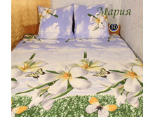 ��� 2 ��. ���� ���� "�����" 3D 977,00 ���.