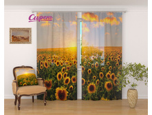 �������� "����� ����������" 2 640,00 ���. �����: ����������� ��������: ����� �����: 02601