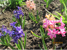 ������� (2).JPG