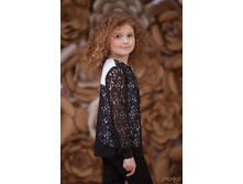 ������ 3629-2