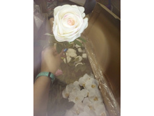 2017-03-28 10-57-48.JPG