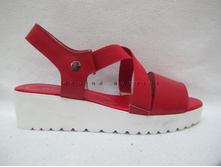 ¦5194 ���� 1910 ���.(8 ���).JPG