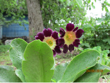 ������� �� �����.JPG