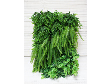 ���������� 03