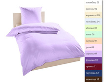 ��������-������������, ��������� ����������.jpg