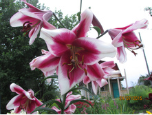 �� ������ ���������� 2.JPG