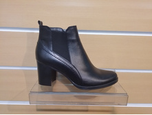 583  ���/������� ����