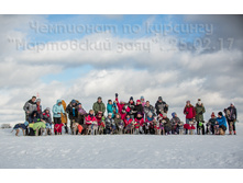 33106279536 846af2ca33 o.jpg