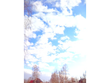 IMG 20170304 145547.jpg