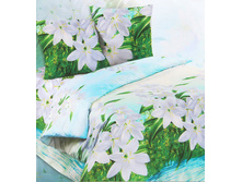 ��� ������ 2,0 �� "�����" 1 040,00 ���.